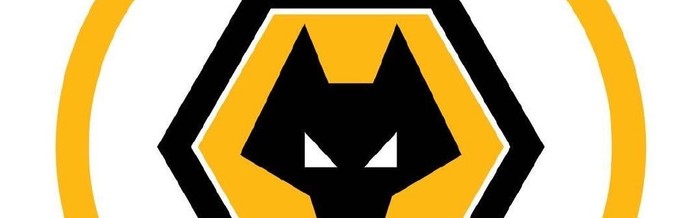 狼队更换头像引发新旧对比讨论